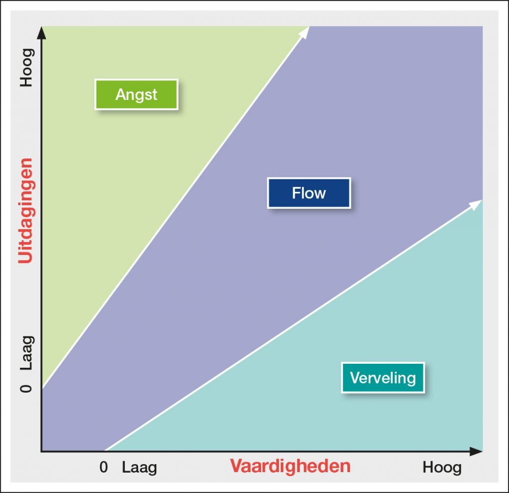 Flow van Mihaly Csikzentmihaly